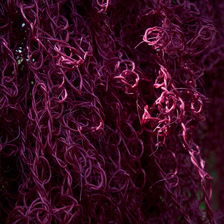 CHOKANAY 15_mosaico galeria.jpg